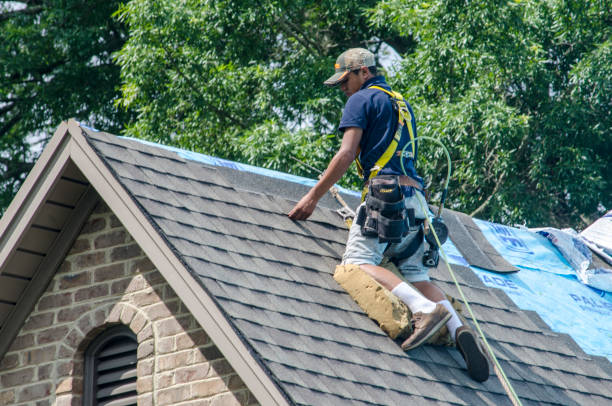 Roof Waterproofing Services in Pembroke Pines, FL